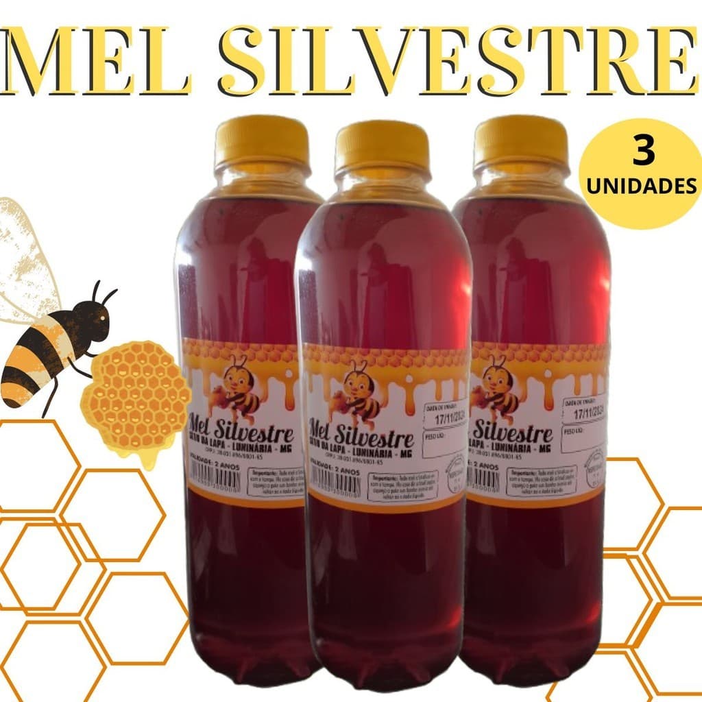 Kit 3 Unidades Mel Garrafa Abelha Silvestre  Composto 1,3kg Envio Imediato