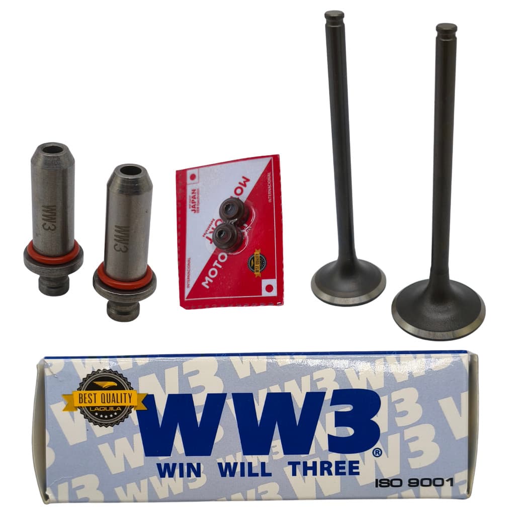 Kit Válvula Admissão Escape Com Guias E Retentores Twister Tornado XRE 300 CB 300 WW3