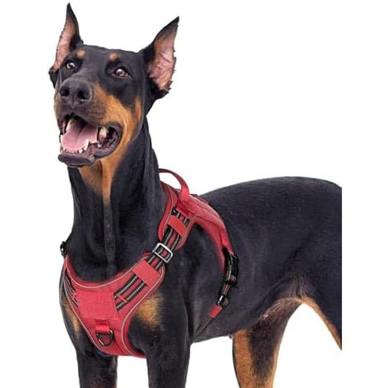 Arnês Tático Para Cães Rabbitgoo Grandes , Colete Sem Tração Animais De Estimação Com Molle E Alça De Controle Fácil , M