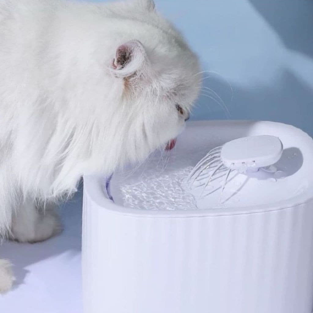 Bebedouro Fonte de Água Automático com Filtro para Gatos e Cachorros