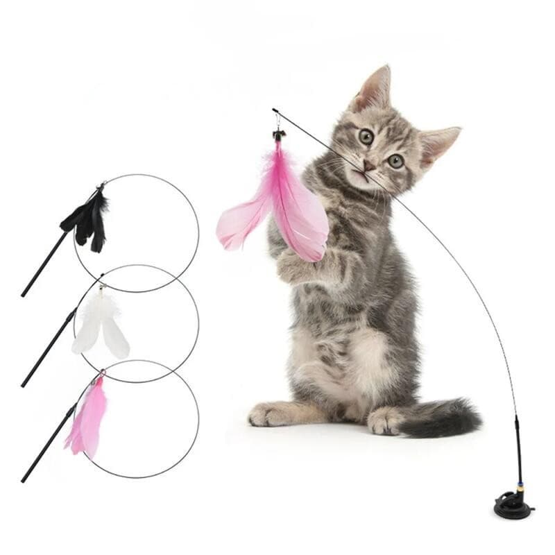Brinquedo para Gato, Varinha Interativa para Provocar Gatos, Brinquedos para Filhotes Brincarem, Varinha com Penas e Sin