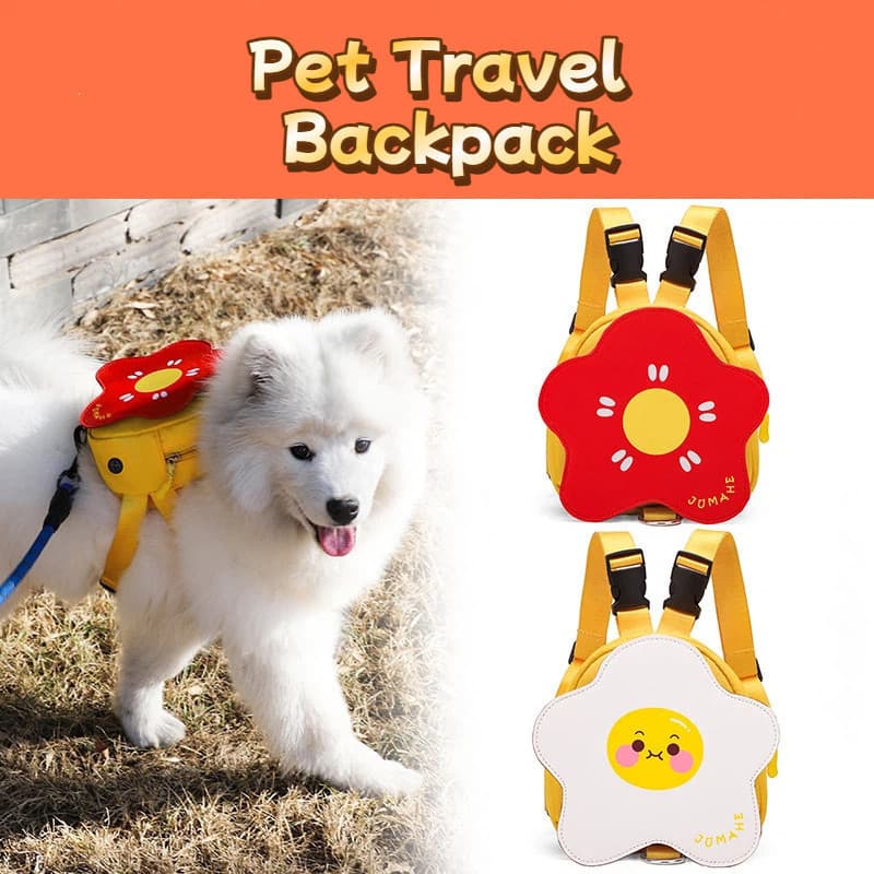 Mochila Fofa Para Animais De Estimação , Mini Bolsa Lanche Ao Ar Livre Com Acessório Cordão