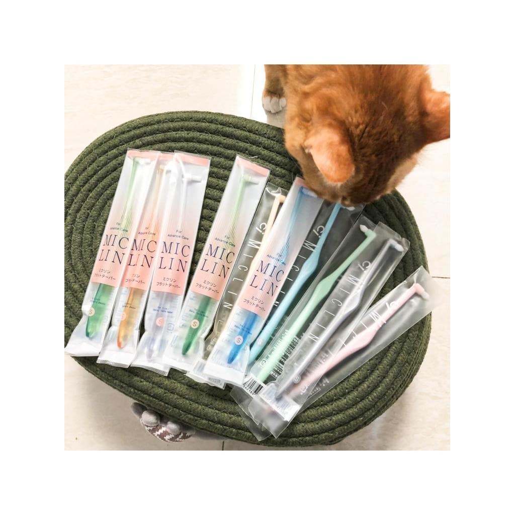 Japão japão CI pequena pontiaguda escova de dentes de pacote único Pet gato escova de dentes Interdental cabeça pequena