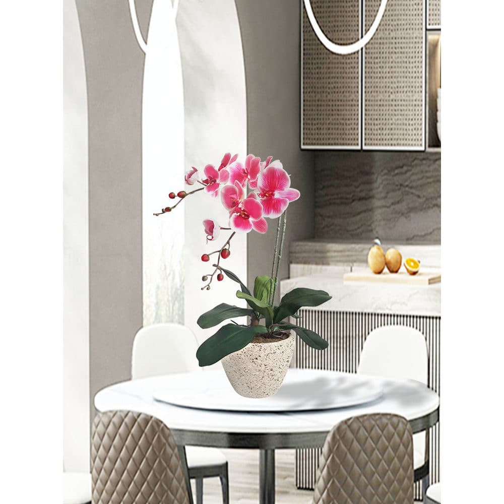 Hejia simulação falaenopia pequeno pote de argila conjunto sala estar estudo lugar flores decorativas empresa mesa front