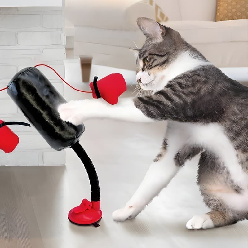 Novo Brinquedo Interativo de Boxe para Gatos, Brinquedo Multifuncional para Brincadeiras de Boxe para Gatos