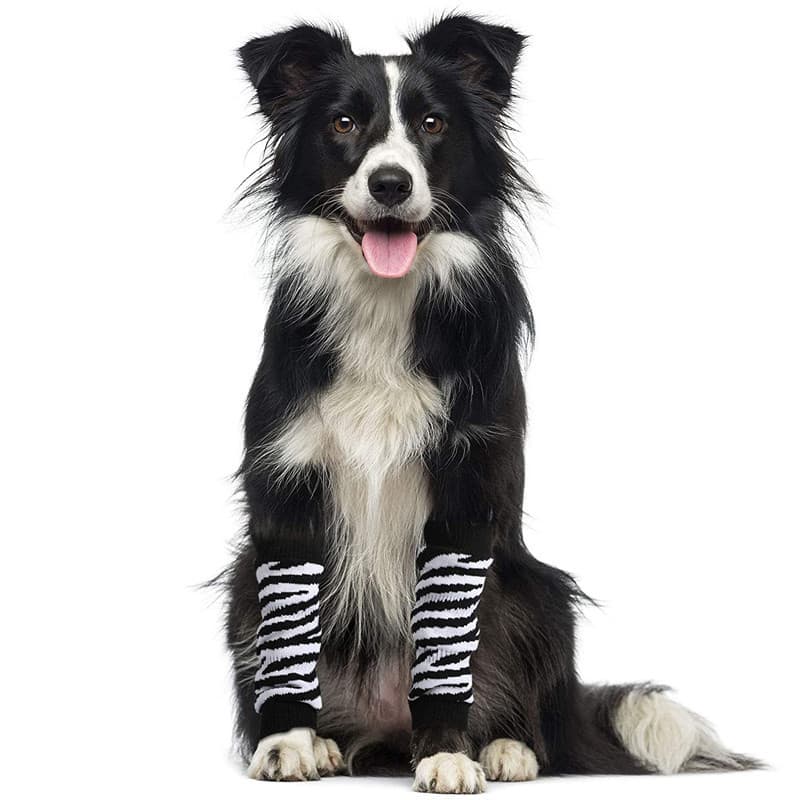 Joelheiras para animais de estimação, capas para pés de cães grandes, médios e pequenos, mangas de proteção para pernas,