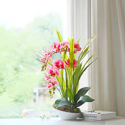 Hejia Phalaenopsis conjunto de flores artificiais porcelana branca vaso flor de seda flor artificial vaso planta sala es