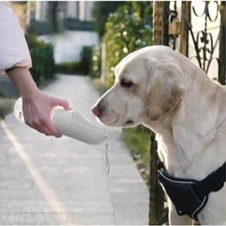 Bebedouro Portátil Silicone Dobrável Pets Viagem Passeio Caminhada Lazer Reforçado Básico 300ml