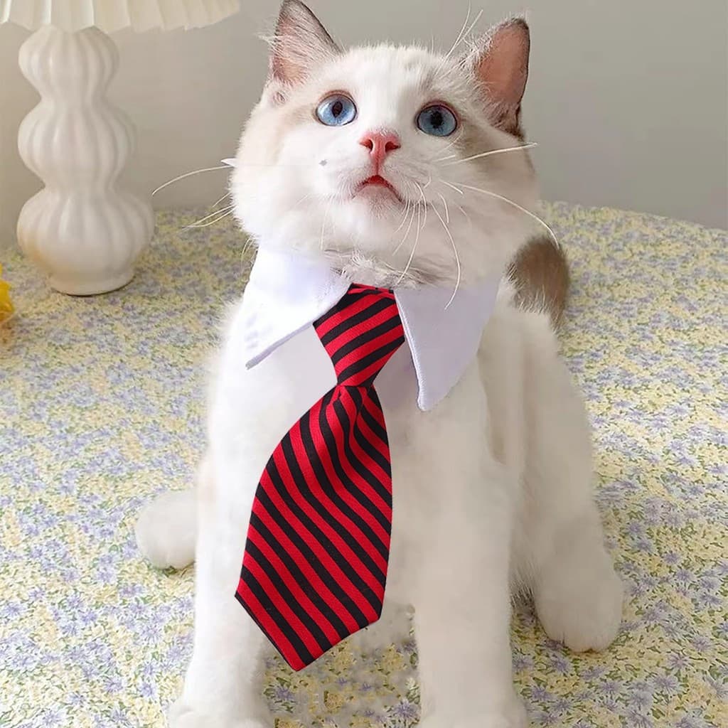 Coleira falsa para gato, toalha de água, gravata para animais de estimação, gravata borboleta estilo britânico, coleira