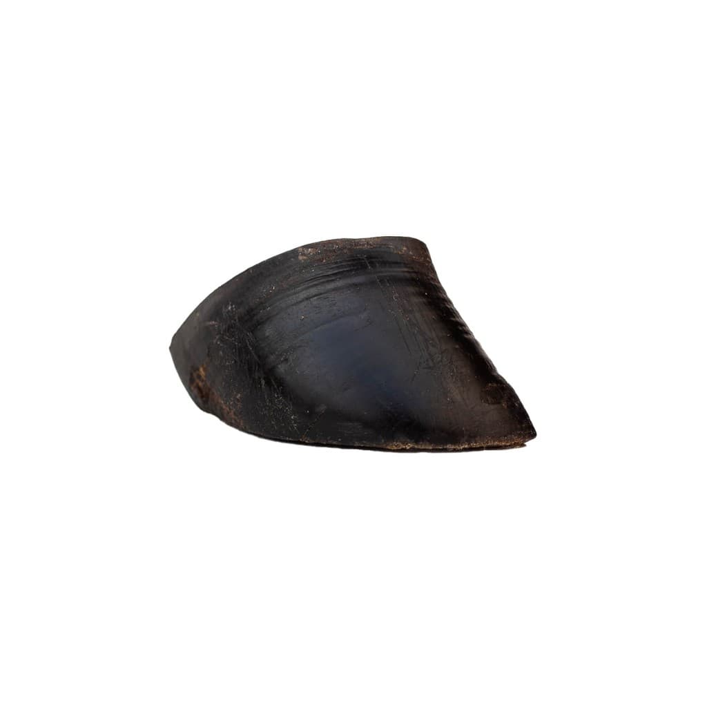 Mordedor Casco Bovino 1und - Budopet