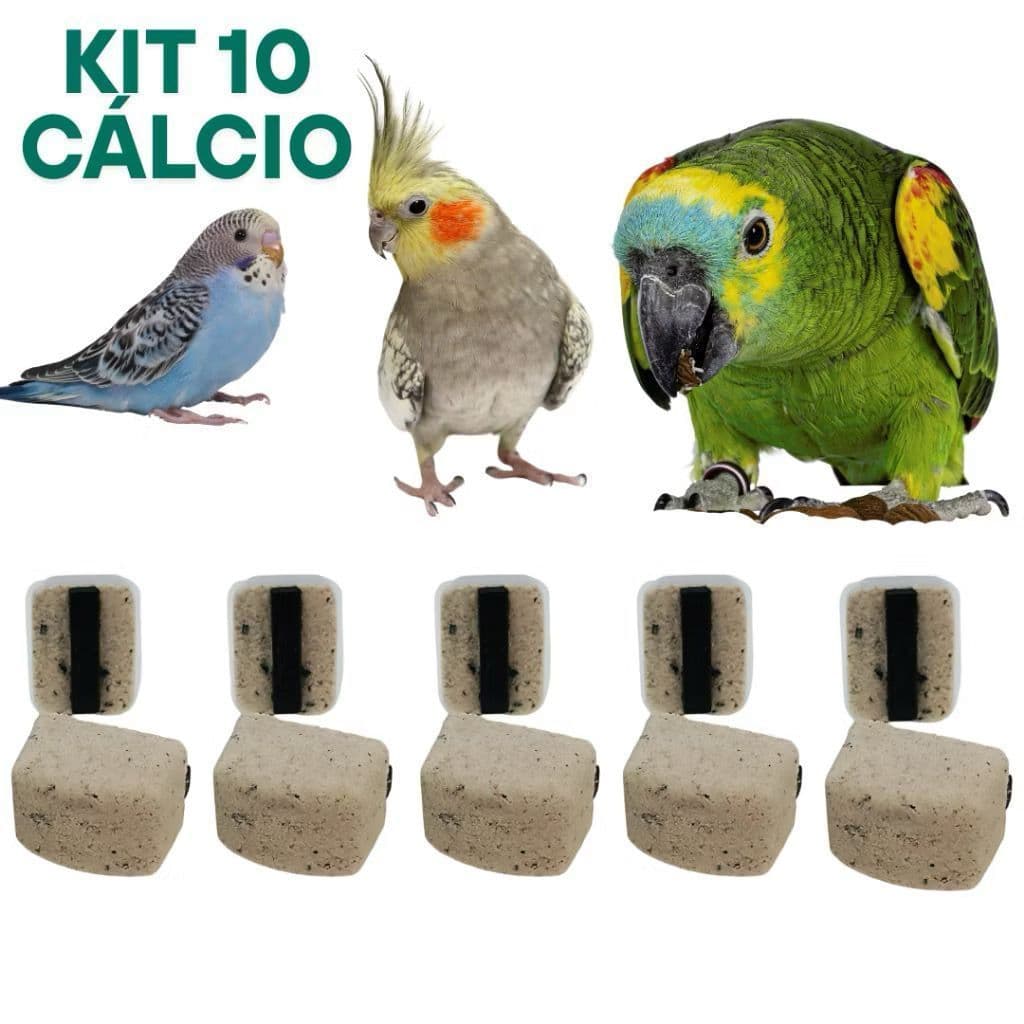 Pedra de Cálcio Passaros Calopsita Periquito Papagaio Aves Suplemento Mineral Digestão Bico Forte
