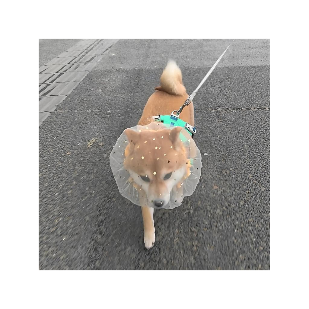 Shiba Inu Cães Anti-Acidental Véu de Comida Pet Chapelaria Pequenos Cães de Tamanho Médio Passeios Cães de Caminhada Cap