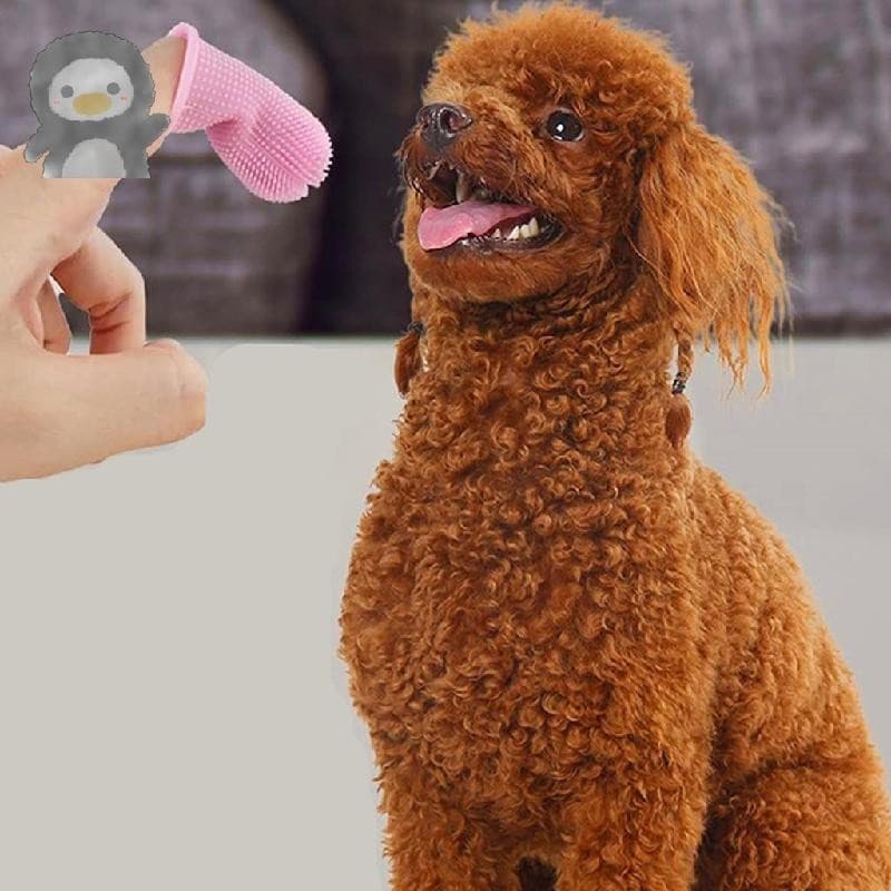 12pcs Escova De Dentes De Silicone Para Limpeza Animais De Estimação Cães E Gatos
