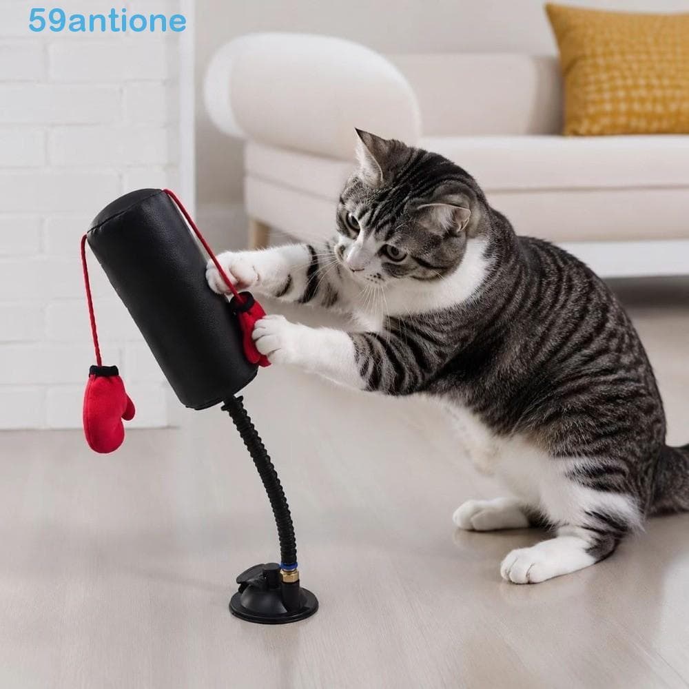 Brinquedo De Boxe Para Gatos ANTIONE , Resistente À Mordida Animais De Estimação , Autoportante