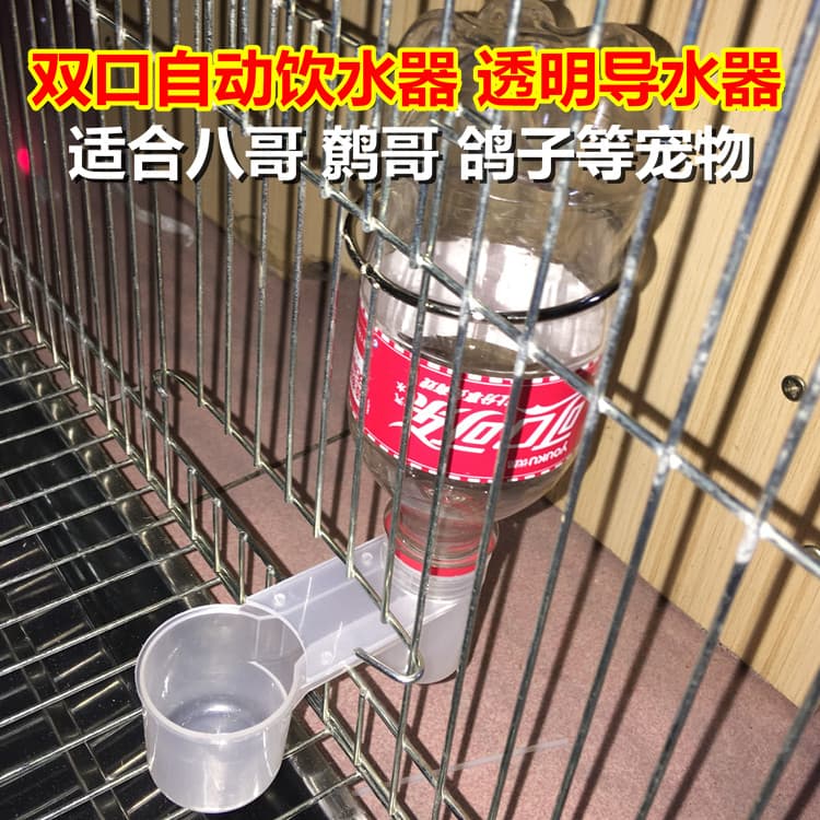 Guia de água potável duplo frango pássaro animal de estimação papagaio Myna água potável automática acreditar carne pomb