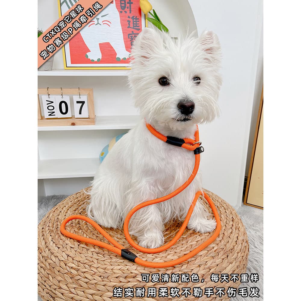 Coleira para cães, coleira para cães, corrente p, coleira para caminhada, animais de estimação, cachorro pequeno, tamanh