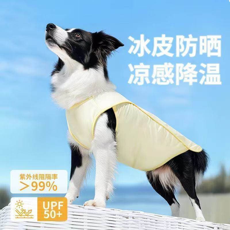 Roupas legais para cães, protetor solar de seda gelada, roupas para animais de estimação, borda desgastada dourada, Shib