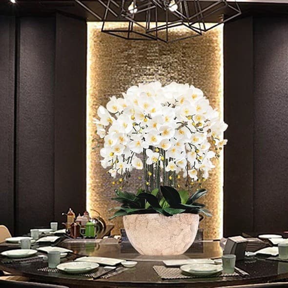 Hejia sentir simulação Phalaenopsis conjunto planta verde vaso planta Floral interior sala de estar flores secas decoraç