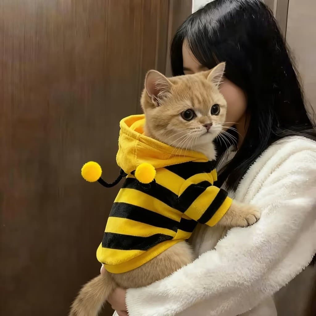 Roupas de gato outono inverno estilo moletom quente bonito pequena abelha roupas cão Muppets transformação roupas com ca