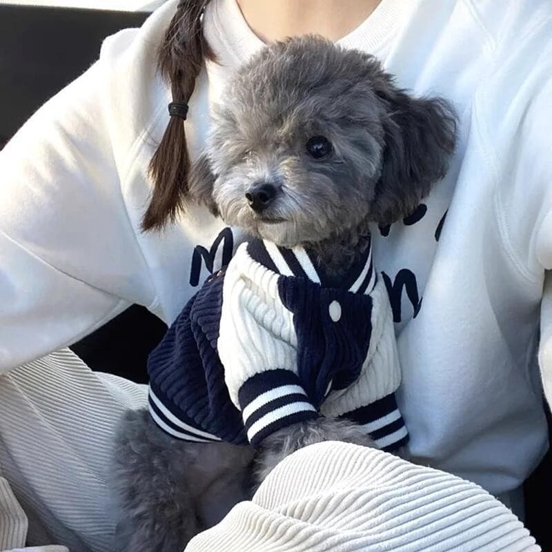 Bonito Bordado Pet Jaquetas De Beisebol Roupas Para Cães Pequeno Médio Gato Casaco De Pelúcia Filhote De Cachorro Primav