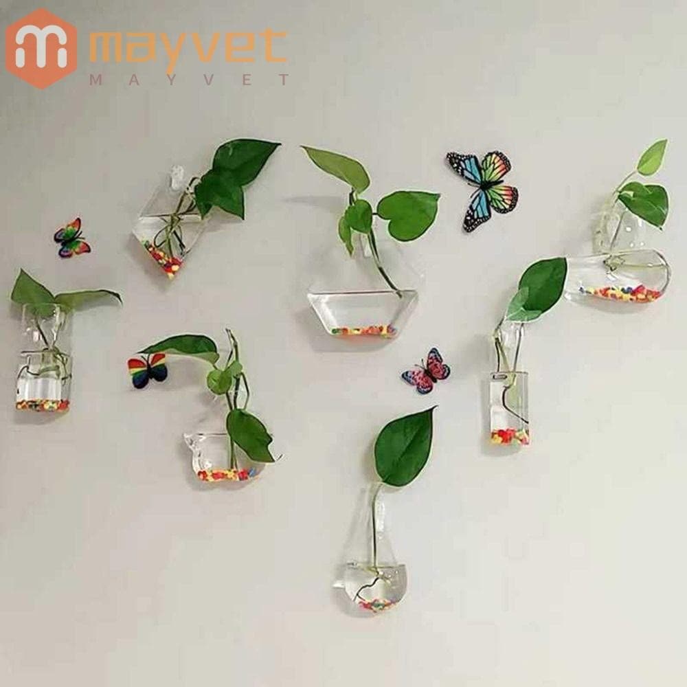 MAYVET Vaso De Suspensão De Parede , Suporte De Planta Transparente Em Forma De Cone , Plantas De Vidro Para Hidropônica