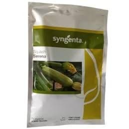 Sementes de Abobrinha Libanesa Squash CA4172 - Syngenta - 1.000 Sementes