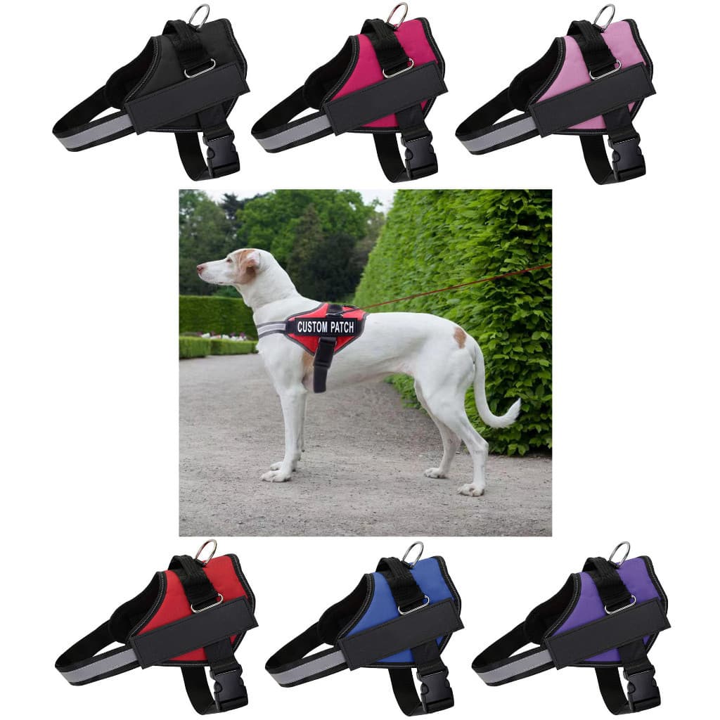 Peitoral Coleira Com Regulagem Faixa Refletiva Cachorro Pet Grande Médio Porte Pesseio Segurança.