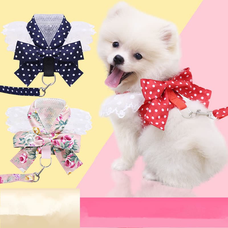 Bonito princesa versão coreana doce anjo arco laço cão tração corda colete estilo pequeno cão cinta peito