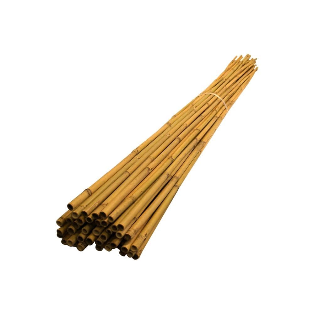 Bambu Cavo Tratado Para Artesanato: 1mt x 1.5cm - 12un