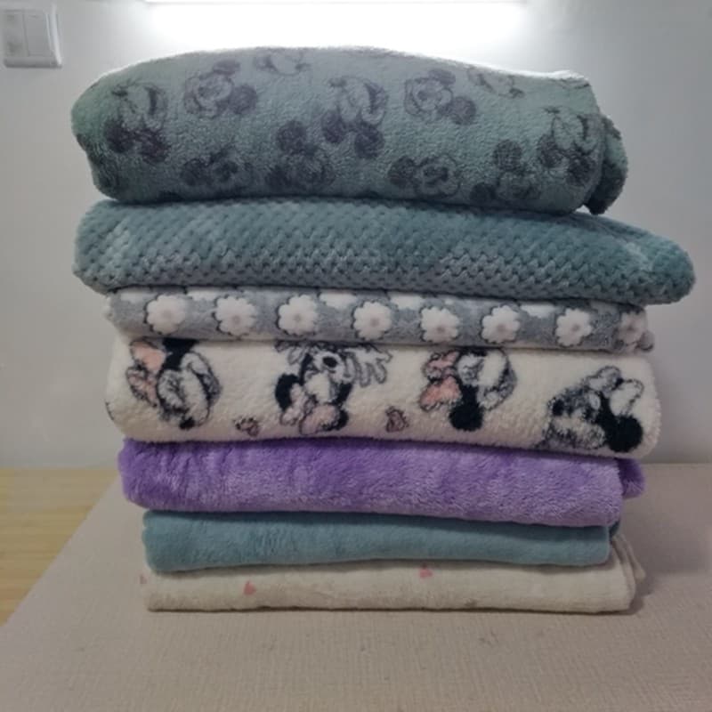Produtos finais Tecido de comércio exterior outono inverno armazenamento de calor quente cobertor de flanela dupla face
