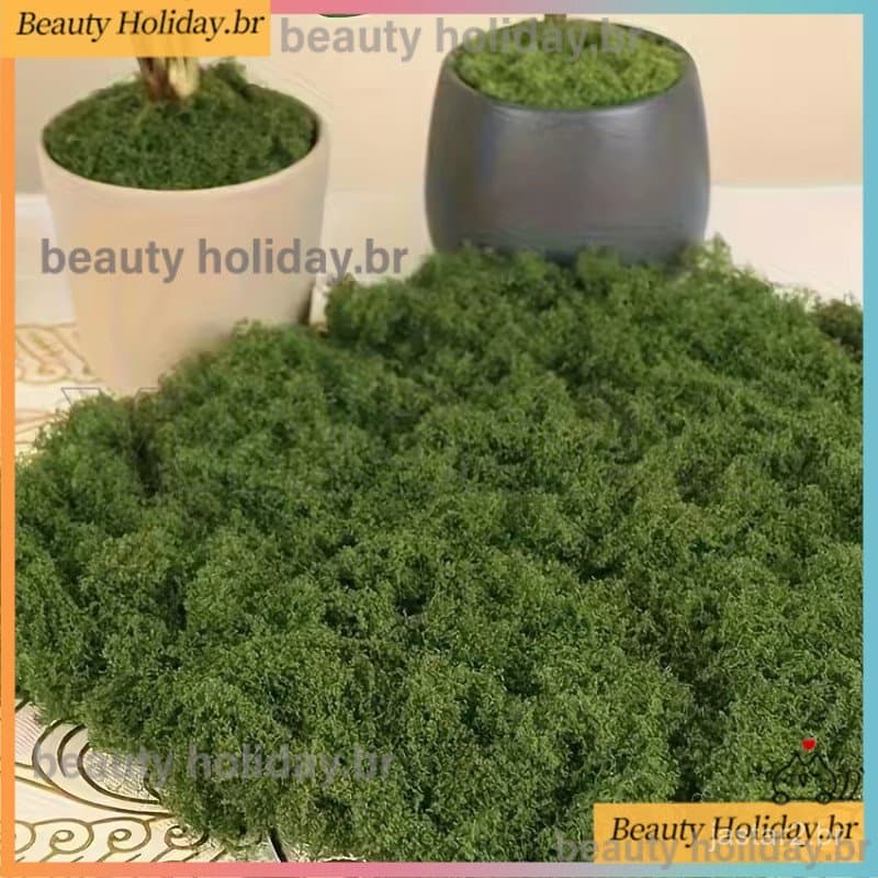 30/50/100g Musgo Falso DIY Artesanato Grama Artificial Preservado Plantas Verdes Casa Quarto Decoração Do Jardim Mini Pa