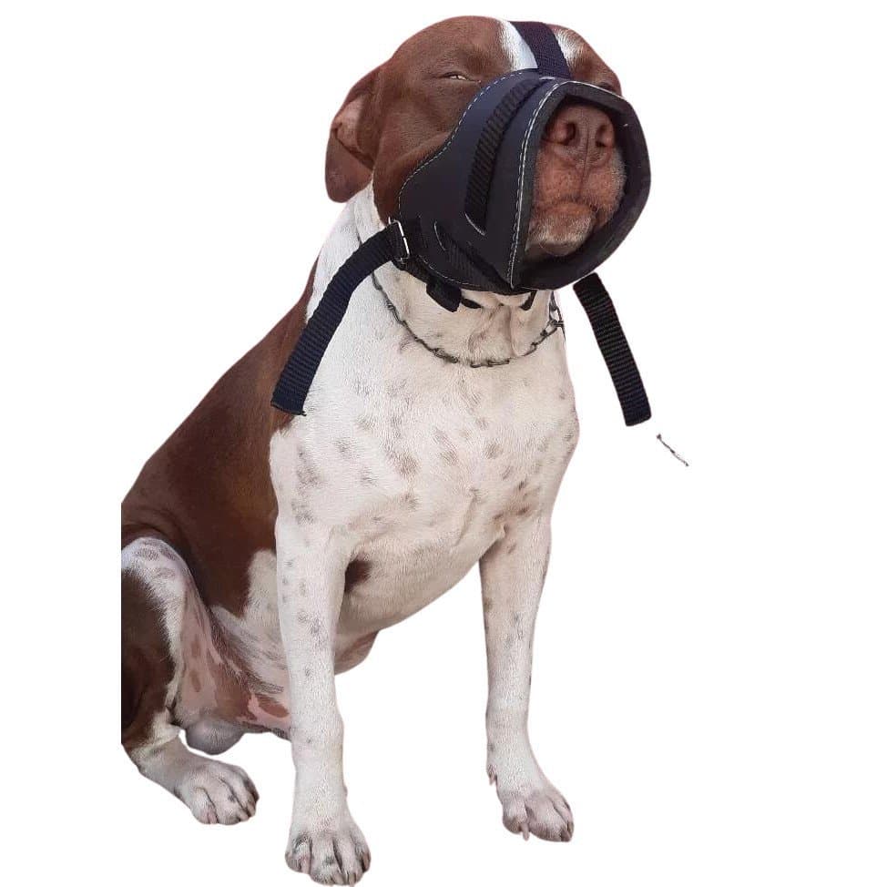 Focinheira Cachorro Regulável e Confortável para seu cão raças médio e grande porte pitbull rotweiller border collie