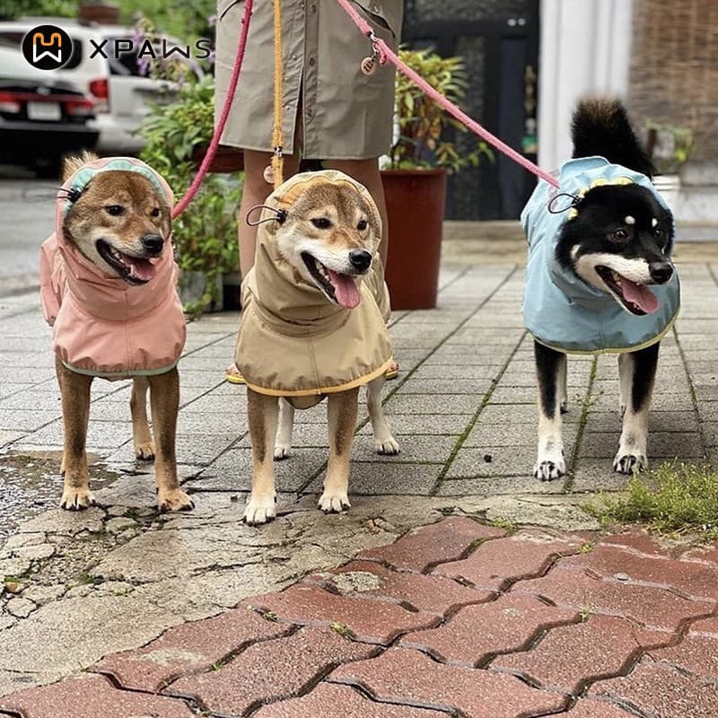 XPAWS capa de chuva para cachorro, estilo influenciador, pequeno, médio porte, Poncho para animais de estimação, Corgi S