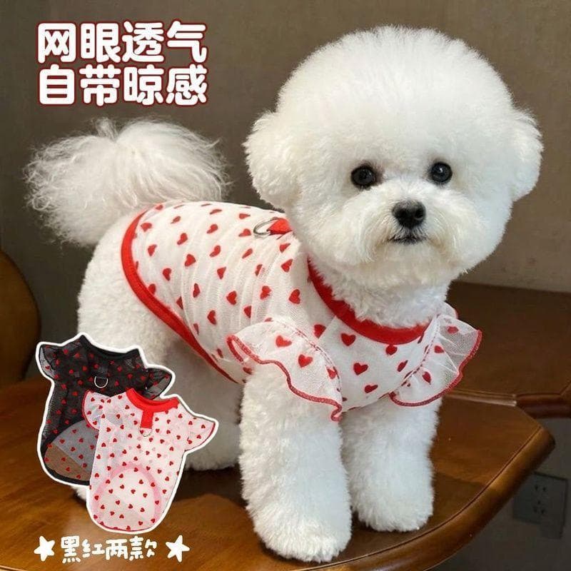 Roupas para animais de estimação Roupas para animais de estimação Anti-sujeira