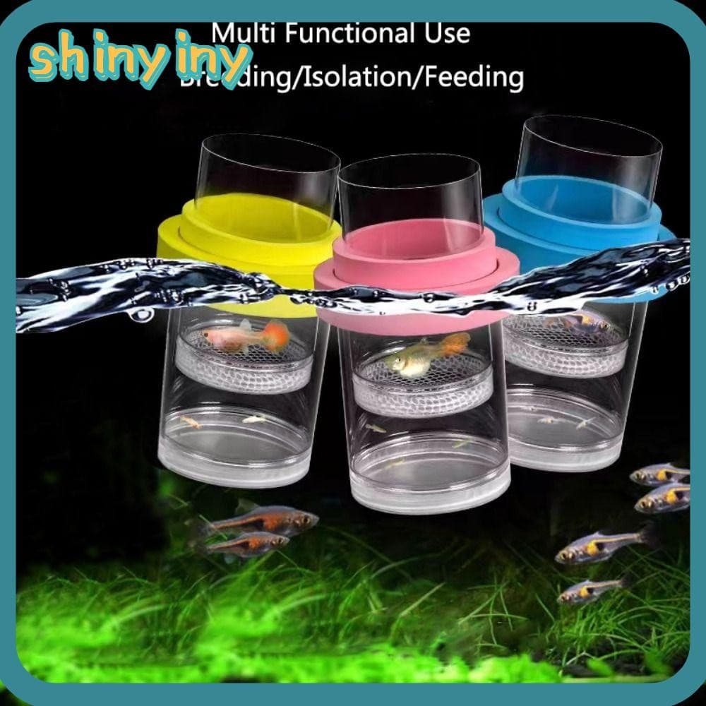 Caixa De Incubação Flutuante Brilhante , Isolamento Para Criação De Peixes , Guppy De Camarão