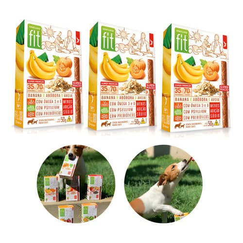 Kit 3 Petisco Fit Pet Banana Abobora Aveia 50g Spin