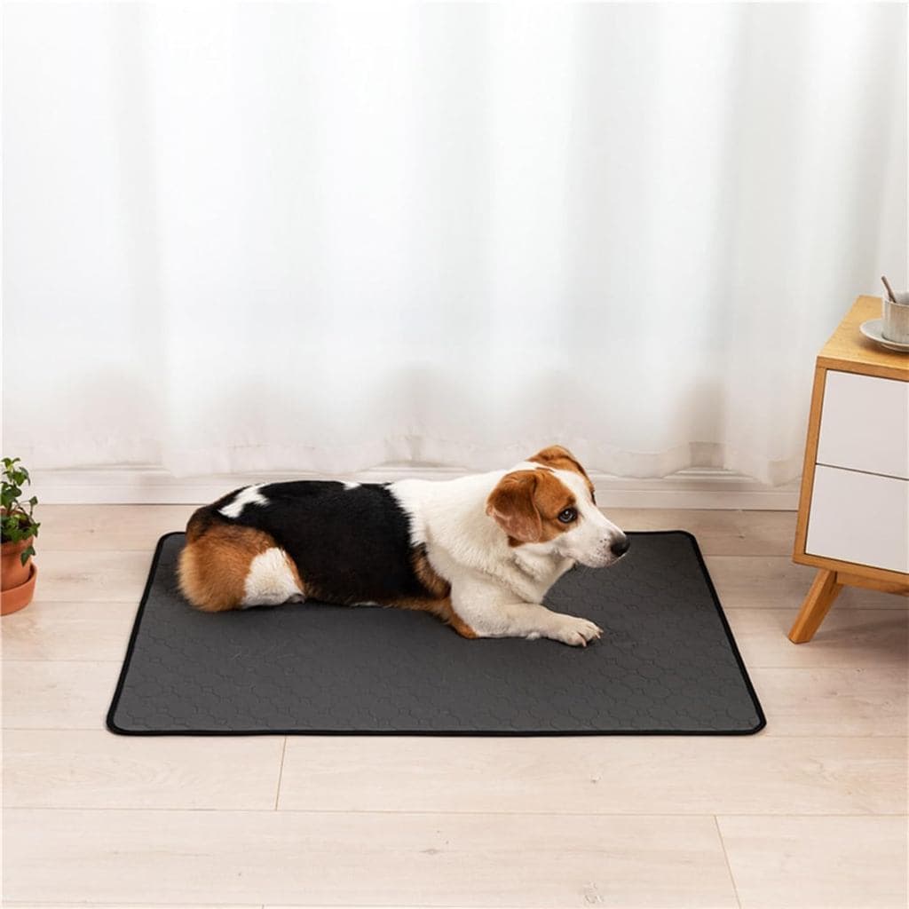 Tapete Higiênico Lavável para Animais de Estimação, Reutilizável, Absorvente, À Prova de Vazamentos, Tapete de Treinamen