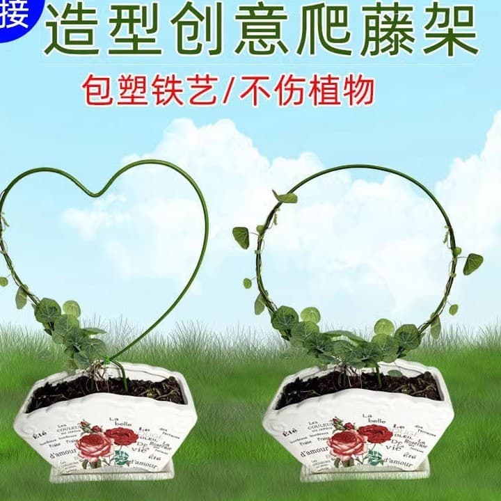 Arte de ferro interior redonda em forma de coração neve Yingshan tartaruga bainha Phalaenopsis em forma de flor suporte