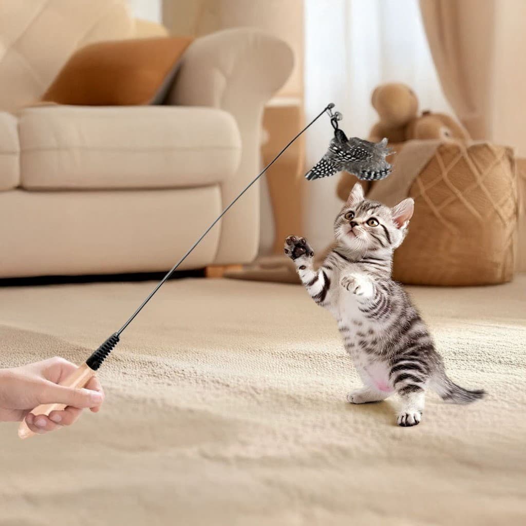 Brinquedo Interativo Para Gatos Varinha Madeira Com Sininho Penas Coloridas Teaser Molas  Guizo