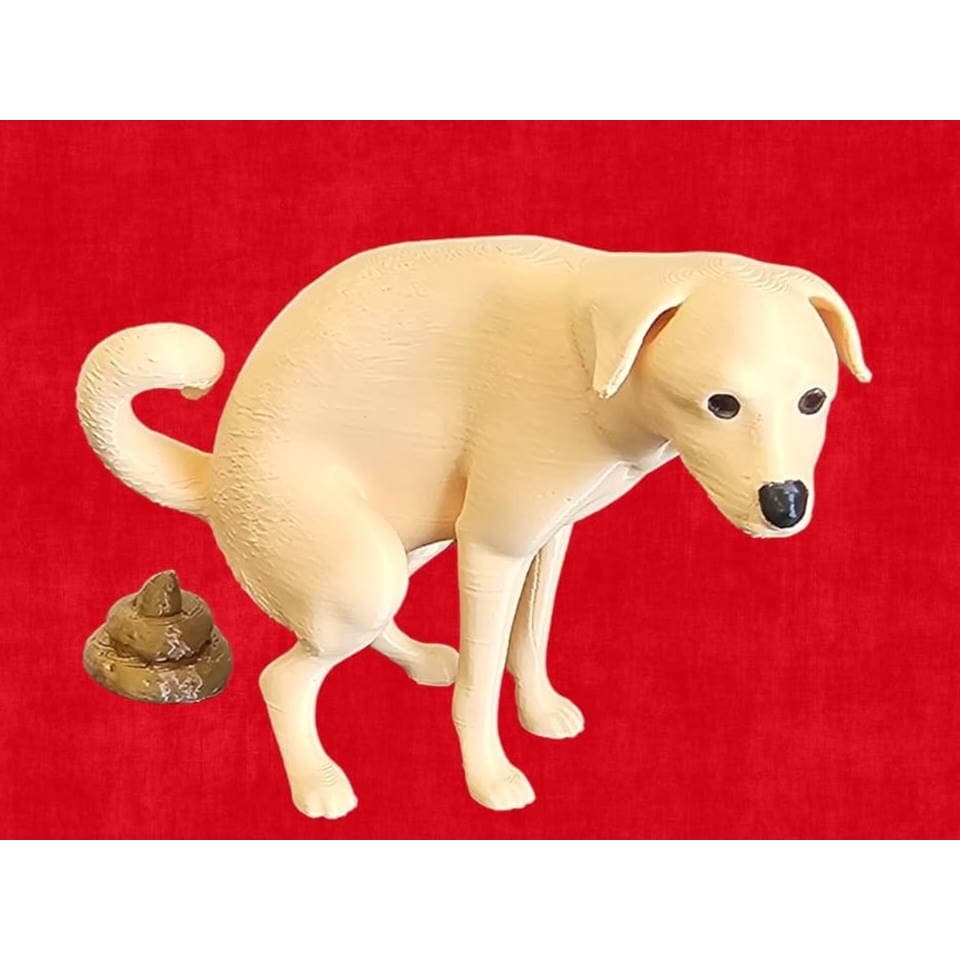 Cachorro Caramelo Cocô Decoração Divertida Para Toda Casa 3D