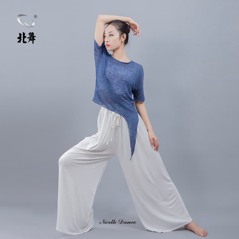 Dança do norte moderna prática de dança roupas Net gaze roupas feminino Ballet étnico clássico dança corpo Yoga roupas t