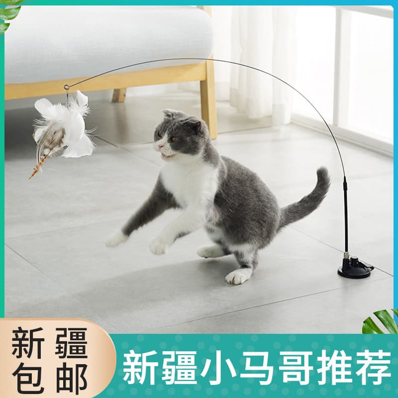 Xinjiang frete grátis Meow fada otário gato provocando vara resistente à mordida pena substituível provocando gato vara