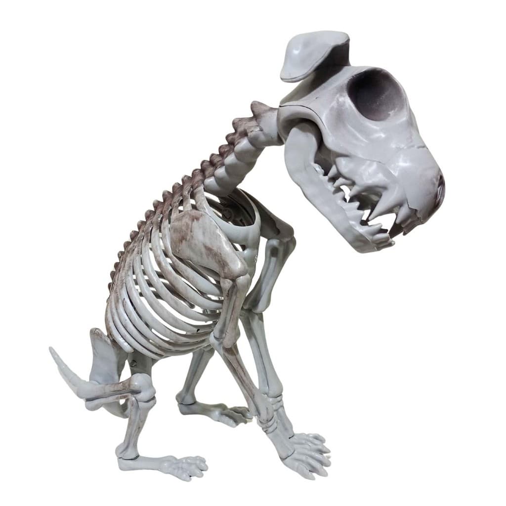 Decoração Halloween Cachorro Esqueleto Caramelo Bastião Realista Plástico Durável