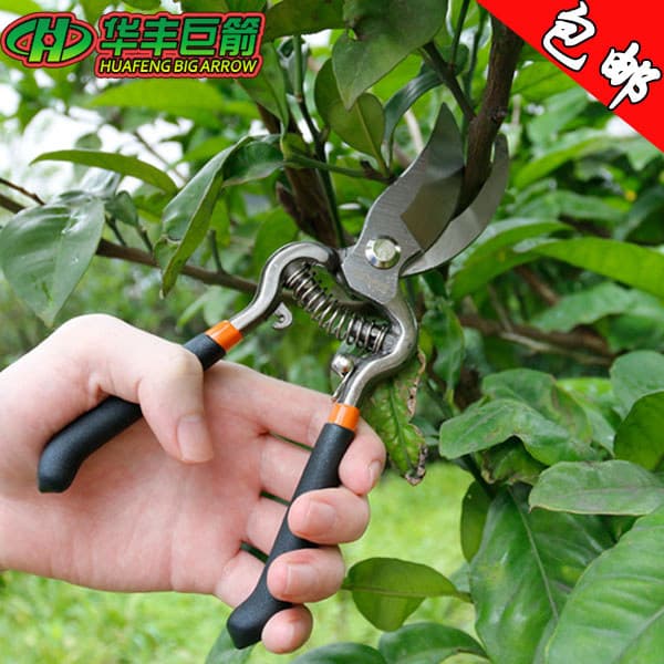 Huafeng Tesouras de jardim 27cm 33cm Tesouras de jardinagem Tesouras de poda para colheita de frutas de poda pa