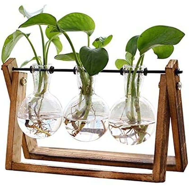 Terrário De Plantas XXXFLOWER Com Suporte De Madeira , Lâmpada Para Plantador De Ar , Vaso De Vidro , Giratório De Metal
