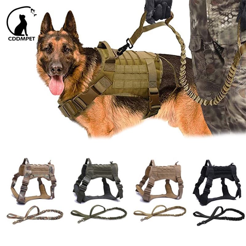 Coleira Peitoral Para Cachorro Grande Pequeno Conjunto Arnês E Trela Cães Tático Militar Colete