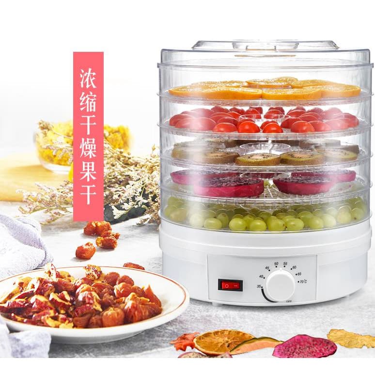 110V máquina de frutas secas secador de frutas doméstico secador de ar pequenos lanches alimentos vegetais máquina de fr