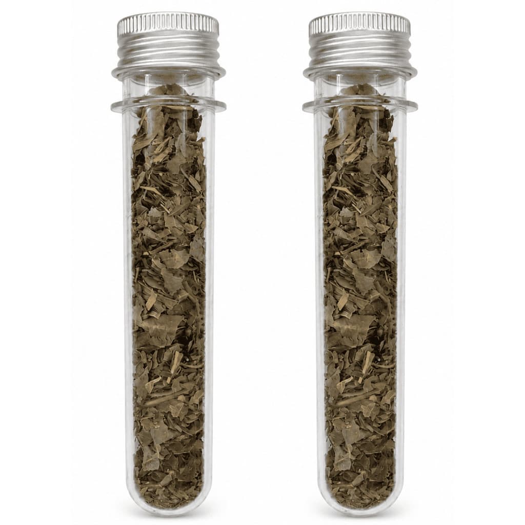 Kit 2 Catnip Tubo Grande 10g Erva Natural Para Gatos Premium Relaxante Brincar interativo