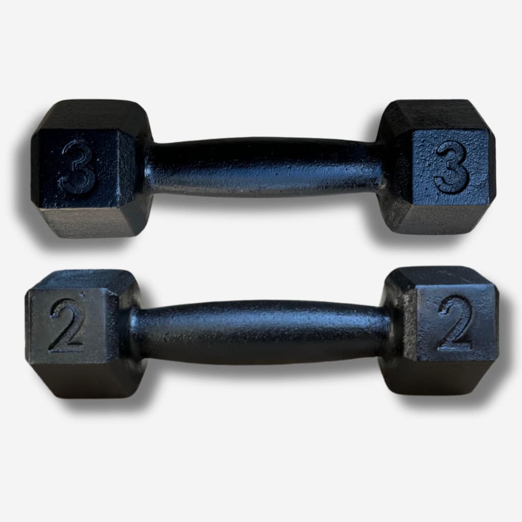 Kit Halter Sextavado Pintado 2kg + 3kg Musculação Treino Academia Fitnes Exercicio Cross Pilats Fisi