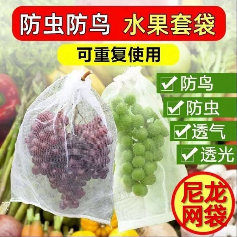 Saco de malha de Nylon à prova de insetos, à prova de pássaros, respirável, leve, translúcido, reutilizável, uva, morang